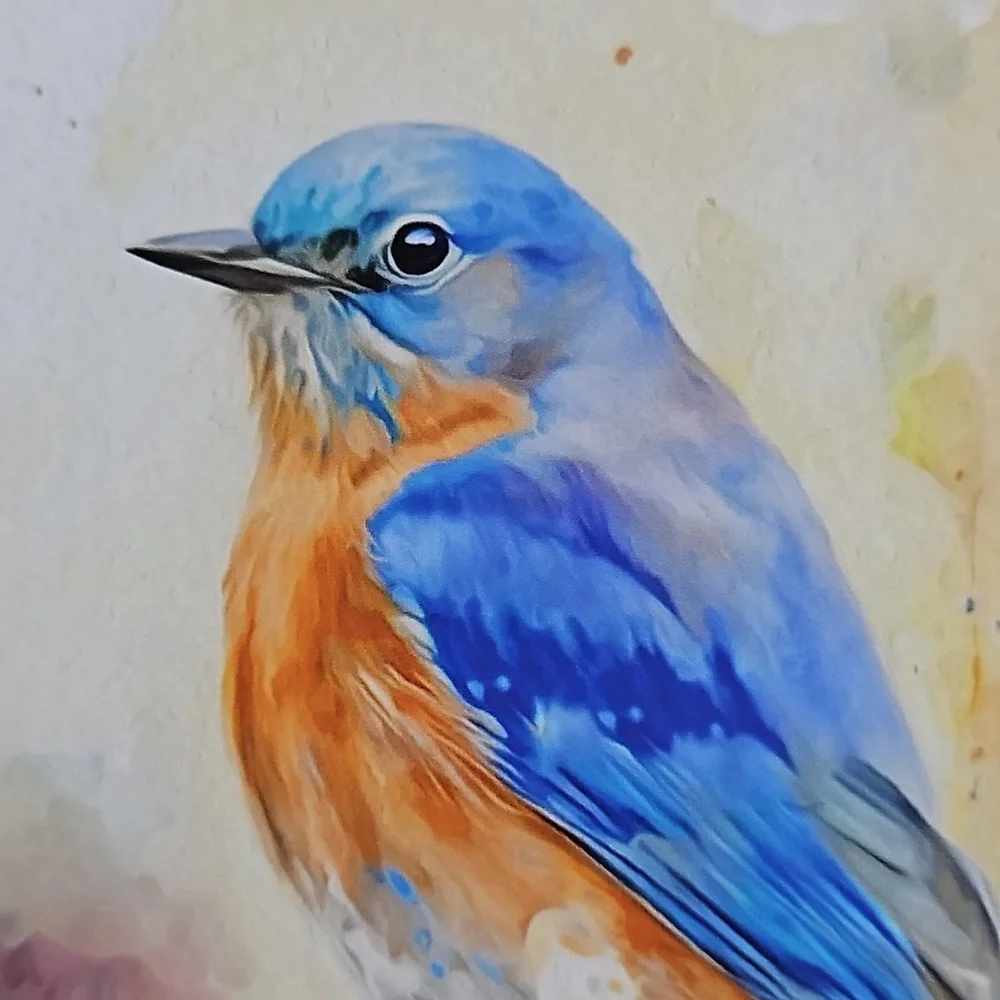 4x6 Eastern Bluebird‎ Watercolor Oil Painting Art Print - Picture 2 of 6